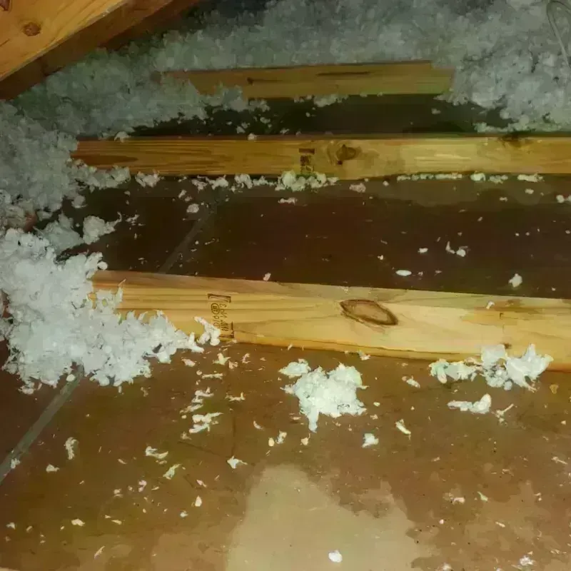 Attic Water Damage in Hebron, OH